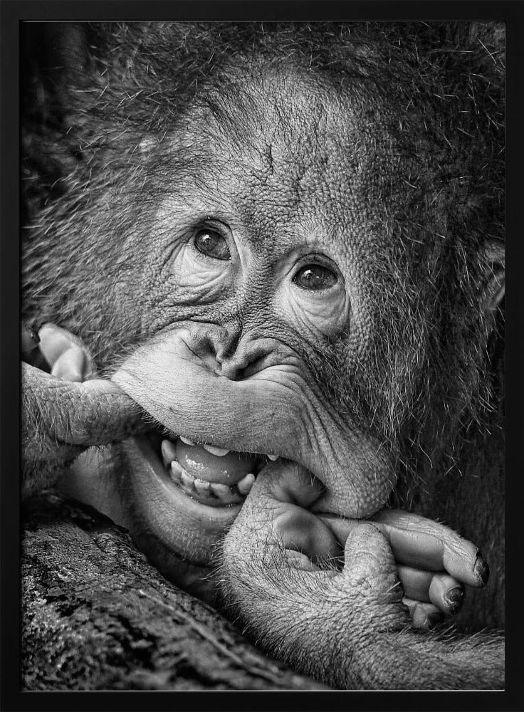 Big Smile.....please | Poster