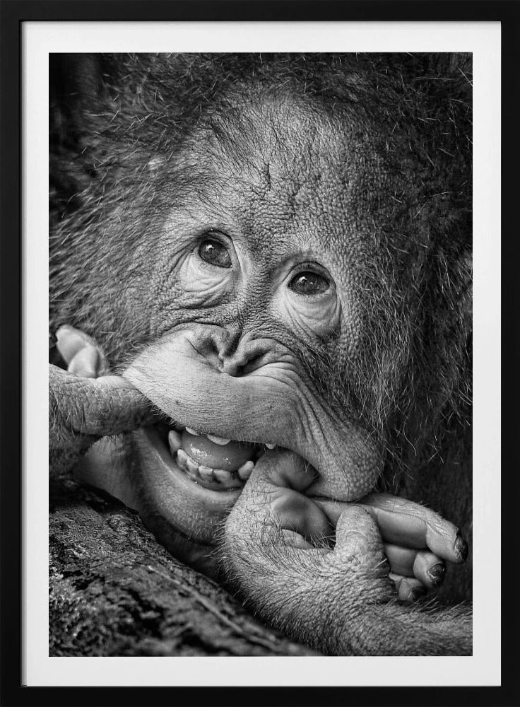 Big Smile.....please | Poster