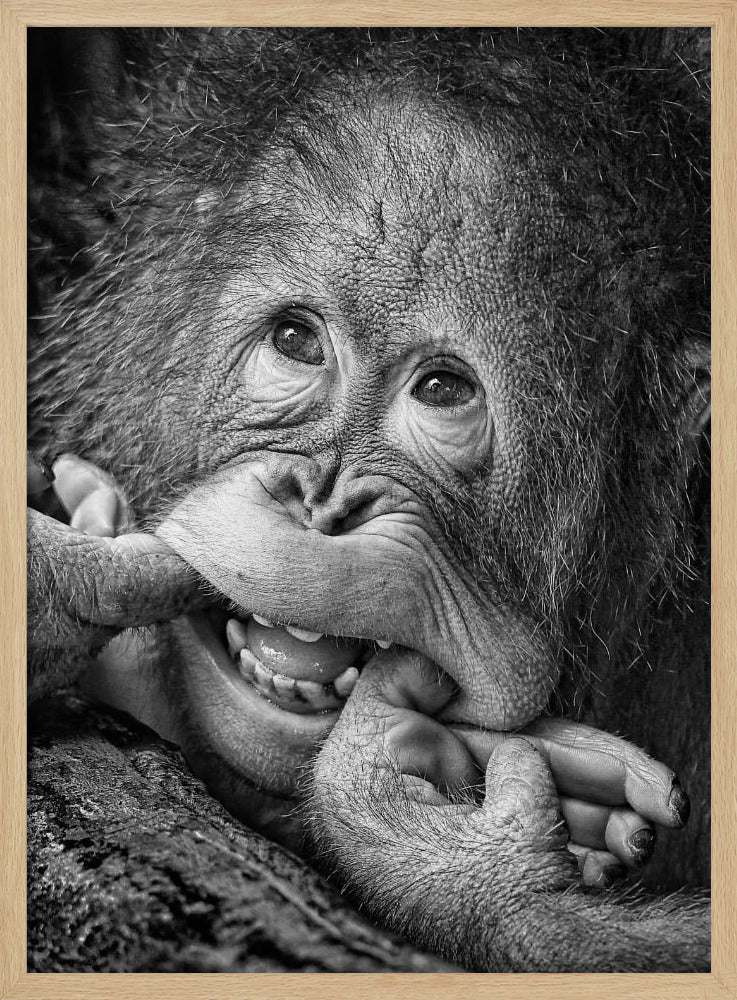 Big Smile.....please | Poster