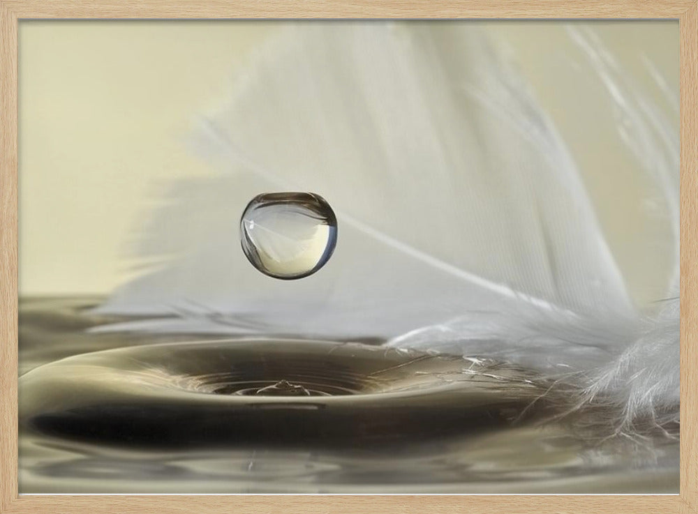 Feathers drop | Poster