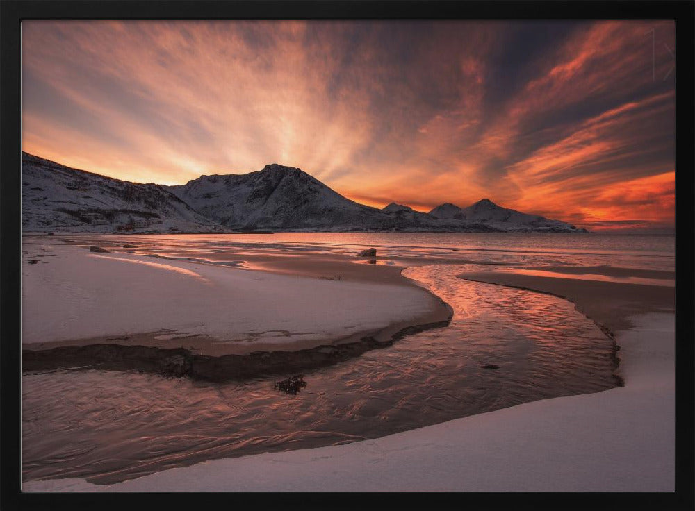 Golden Sunset | Poster