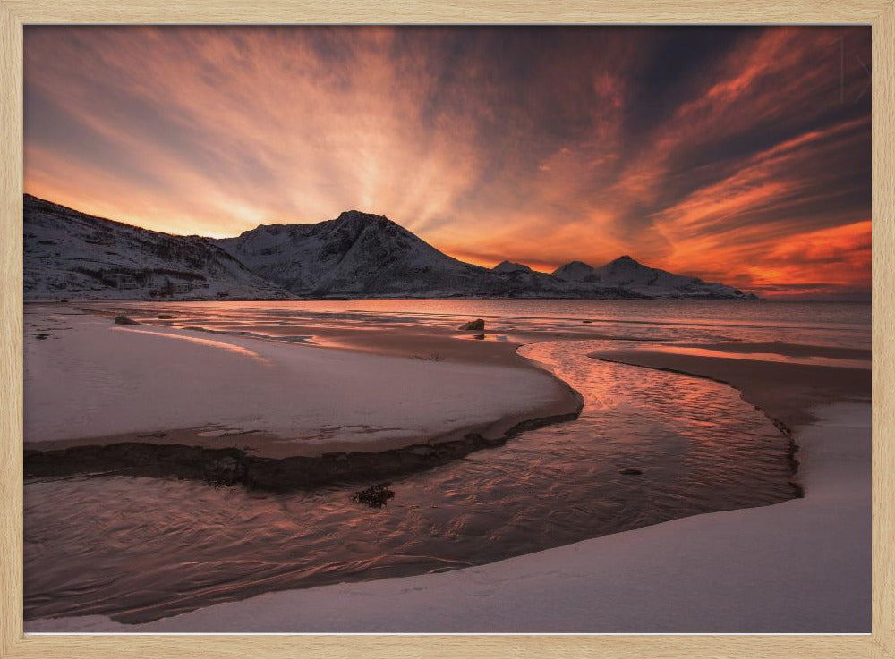 Golden Sunset | Poster