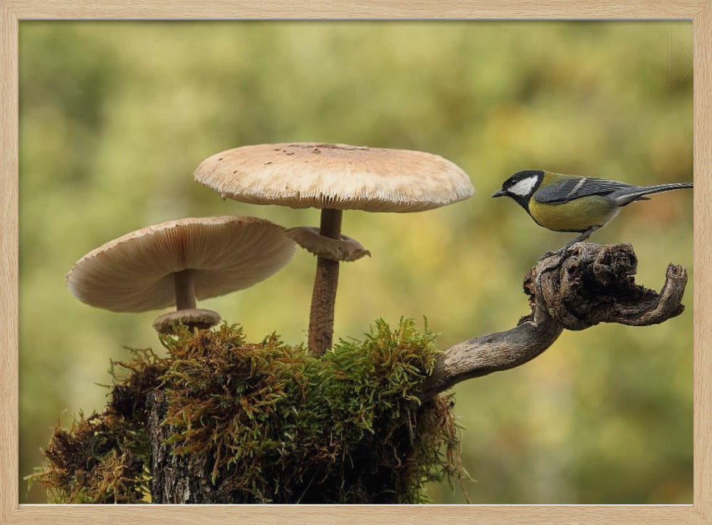 My small part of the world | Poster