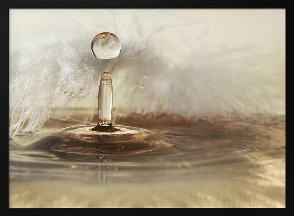 Golden featherdrops | Poster