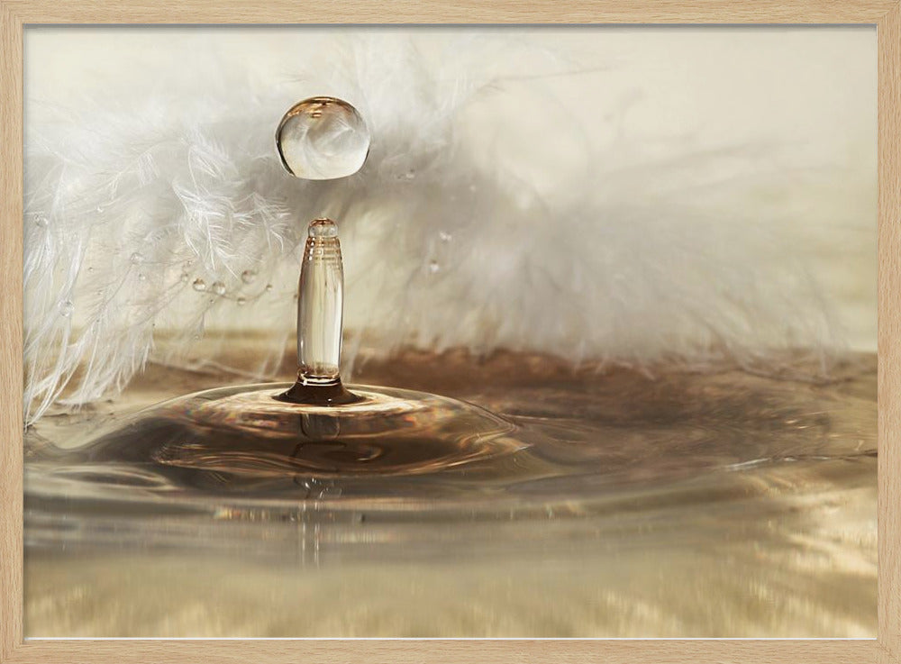 Golden featherdrops | Poster