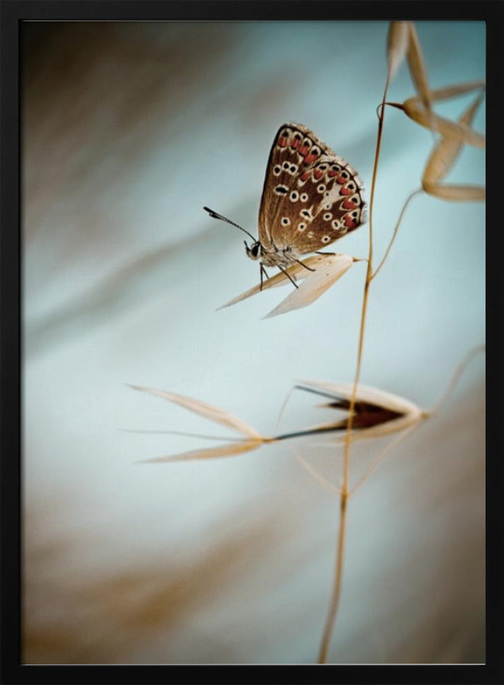 Dream in blue | Poster