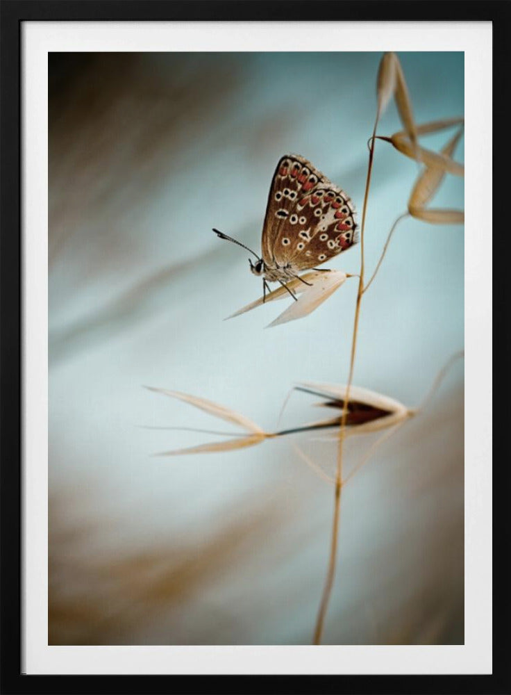 Dream in blue | Poster