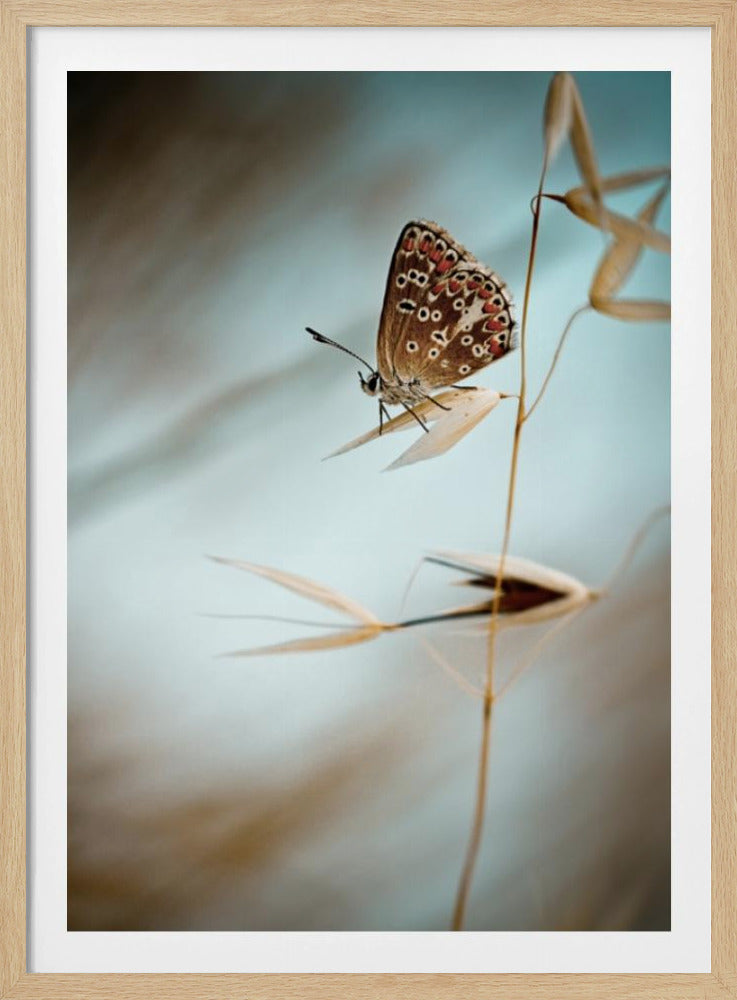 Dream in blue | Poster