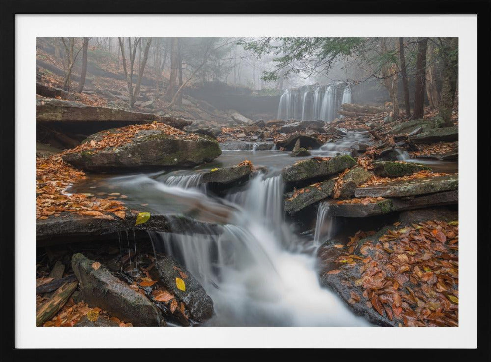 Morning Fog | Poster