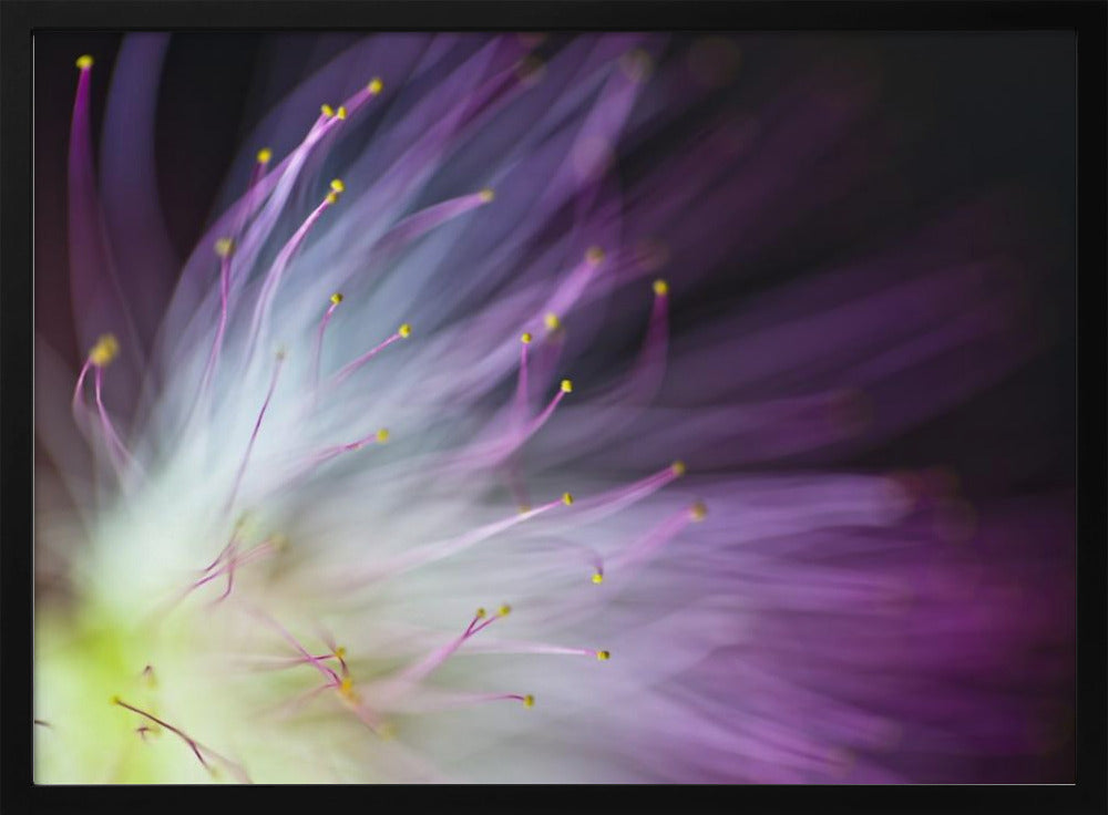 The Will-o-the-Wisp | Poster