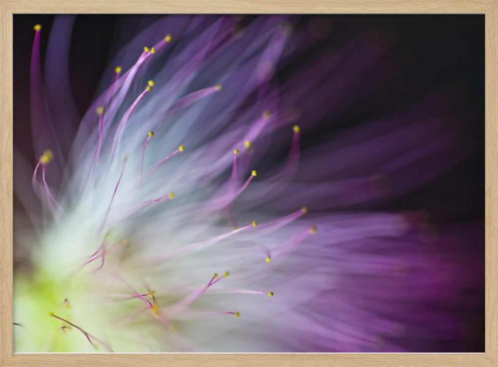 The Will-o-the-Wisp | Poster