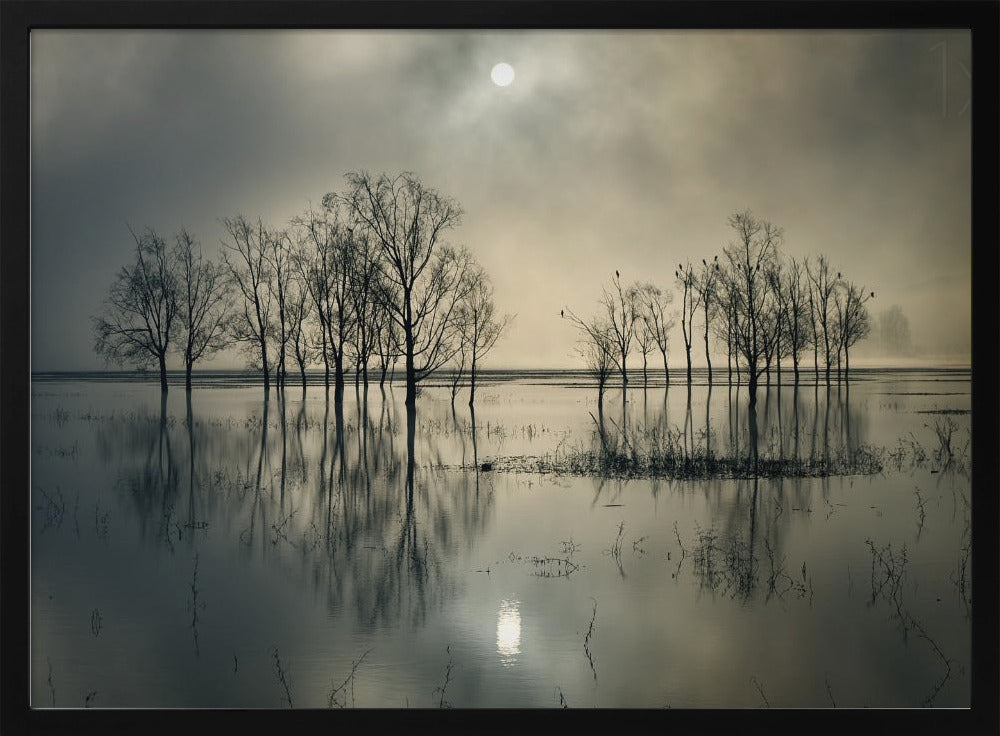 Lake's Secret | Poster