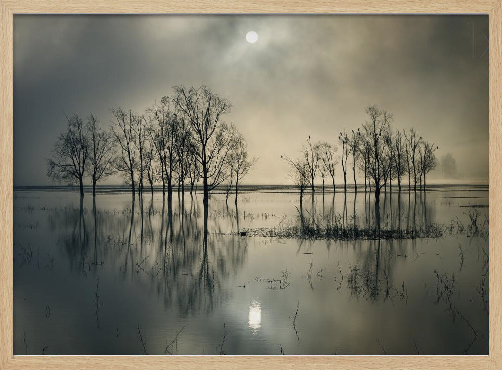 Lake's Secret | Poster