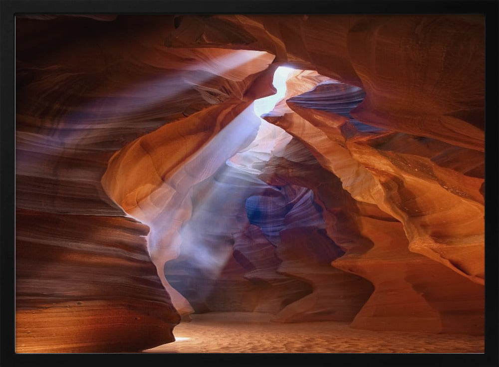 Pure Photodelight  2 | Poster