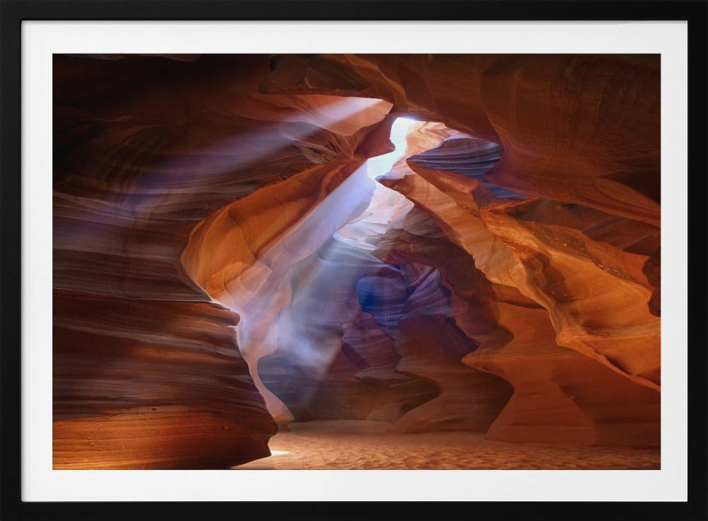 Pure Photodelight  2 | Poster