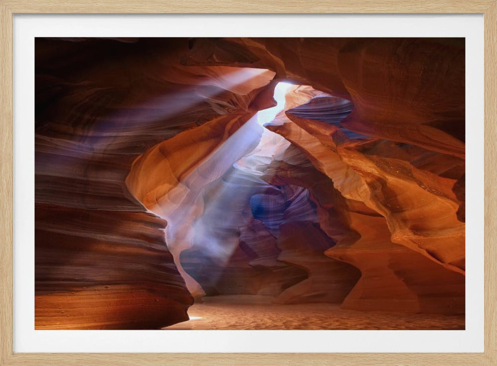 Pure Photodelight  2 | Poster