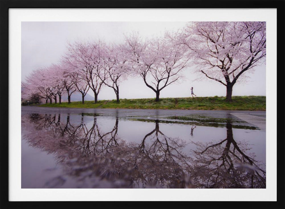 Rain of spring | Poster