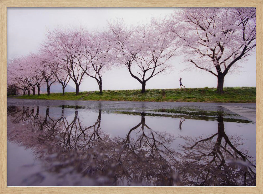 Rain of spring | Poster