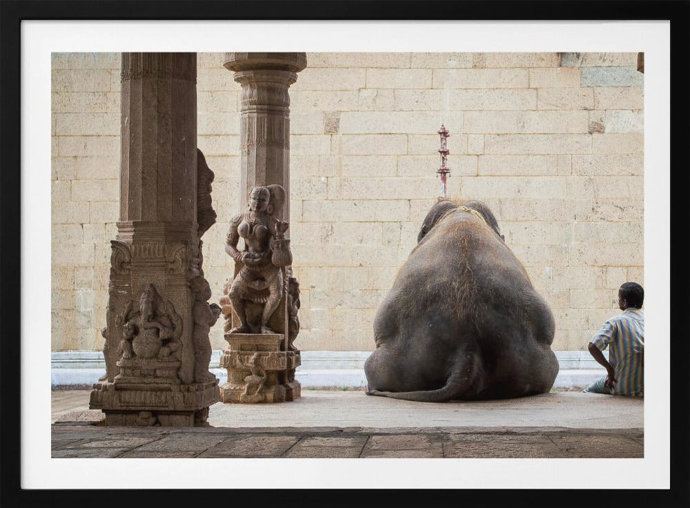 The Elephant &amp; its Mahot | Poster