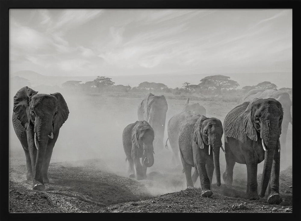 Sequence of emotion | Poster