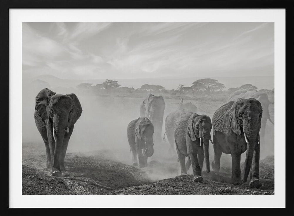 Sequence of emotion | Poster