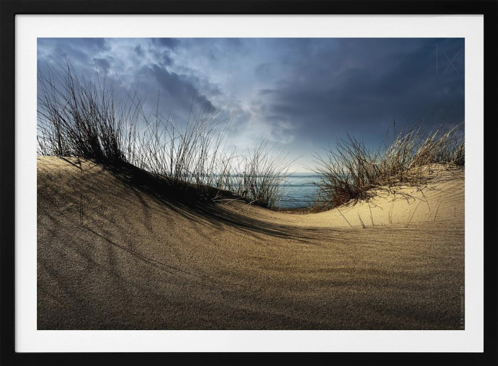 Dunes........... | Poster