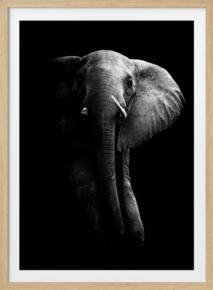 Elephant! | Poster