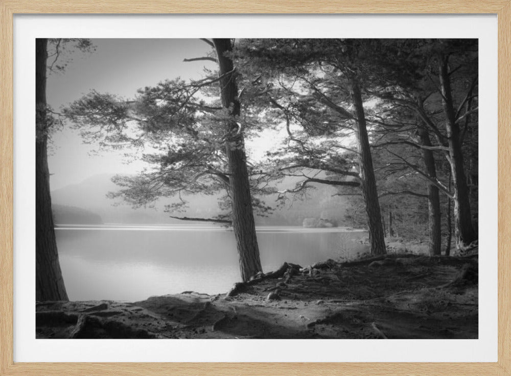 Loch an Eilein | Poster