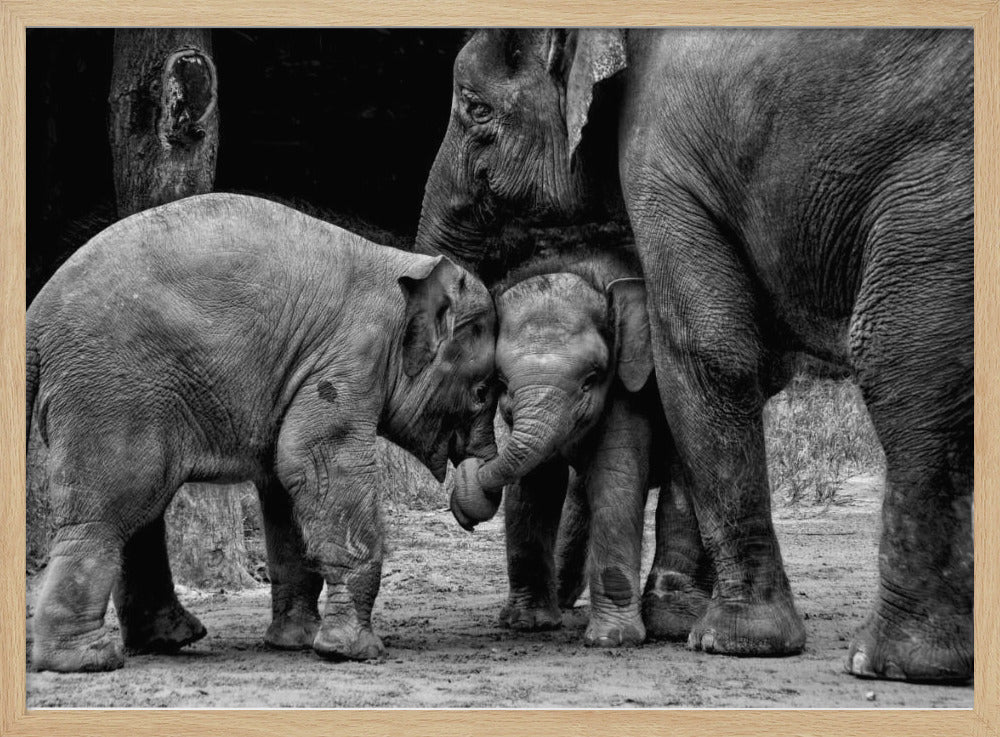 Friends Forever | Poster