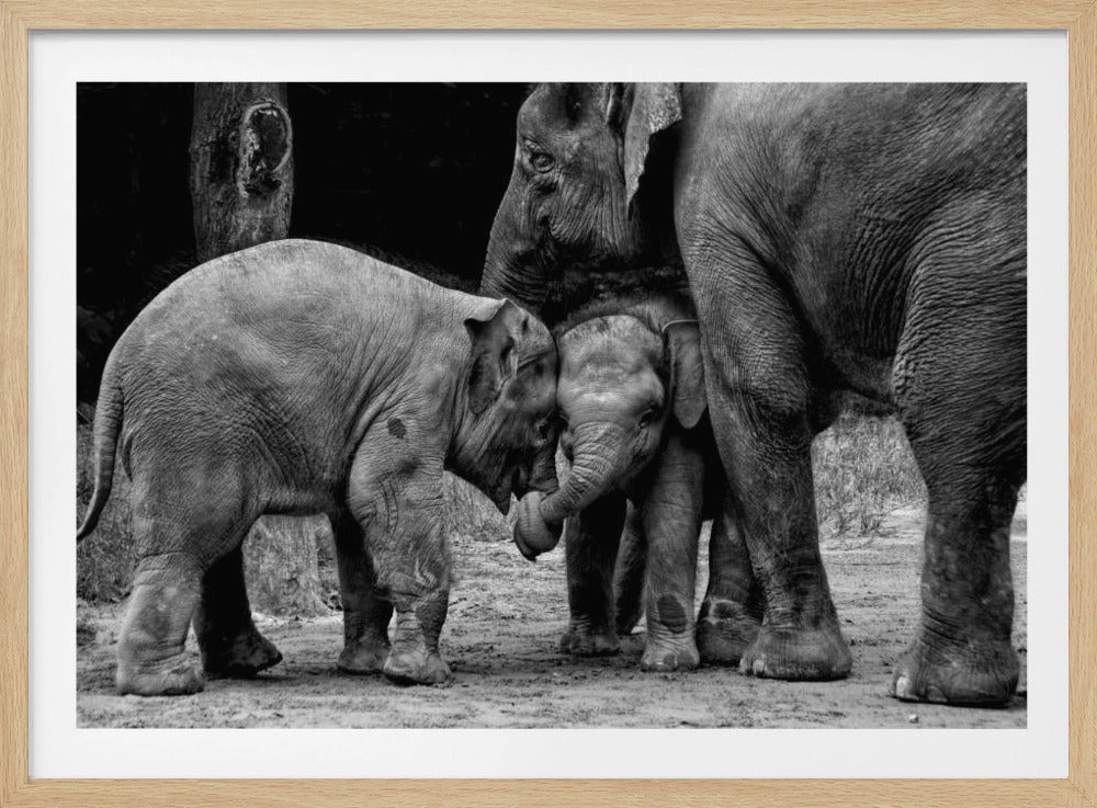 Friends Forever | Poster