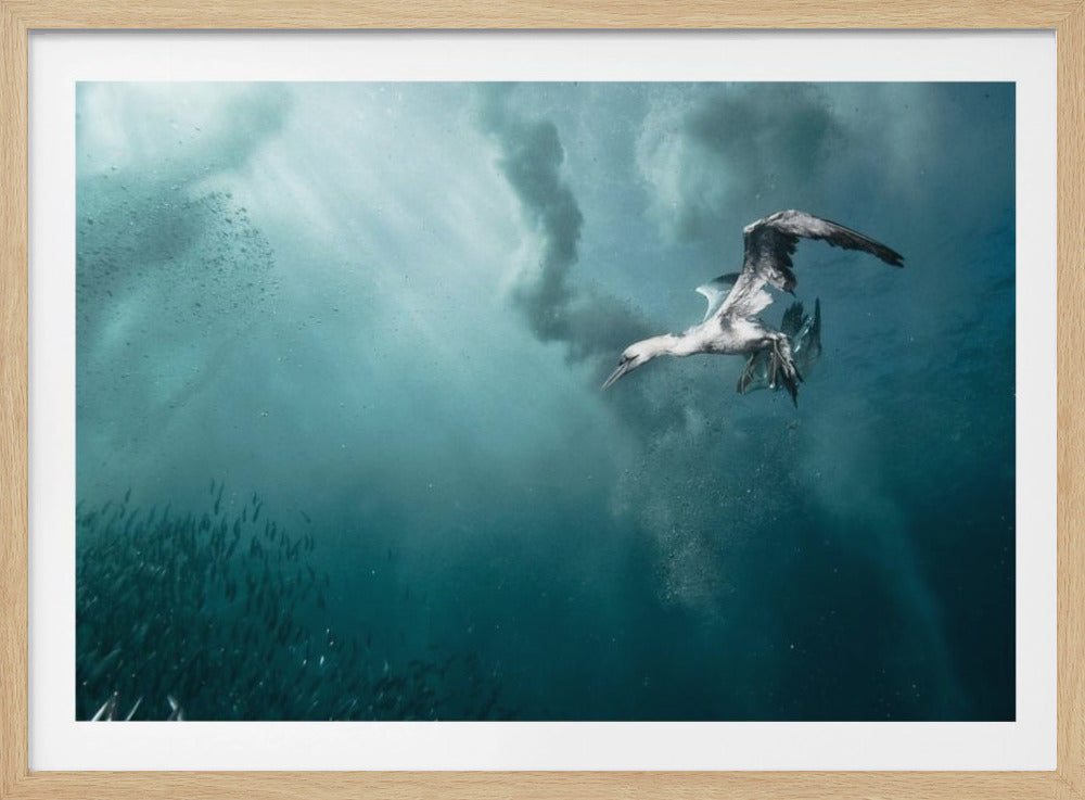 plunge diver | Poster