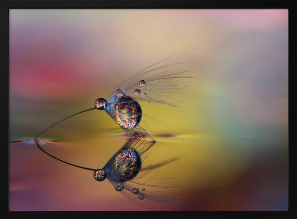 Colorize the darkness | Poster