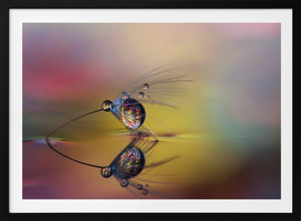 Colorize the darkness | Poster