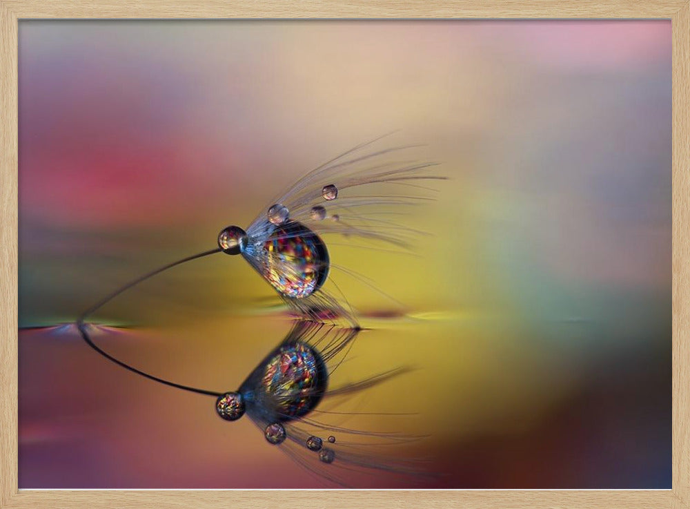 Colorize the darkness | Poster