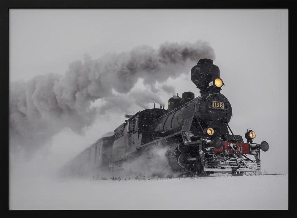 Little-Jumbo | Poster