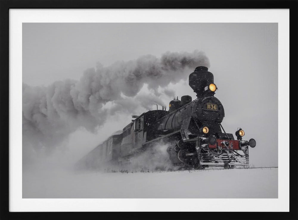 Little-Jumbo | Poster