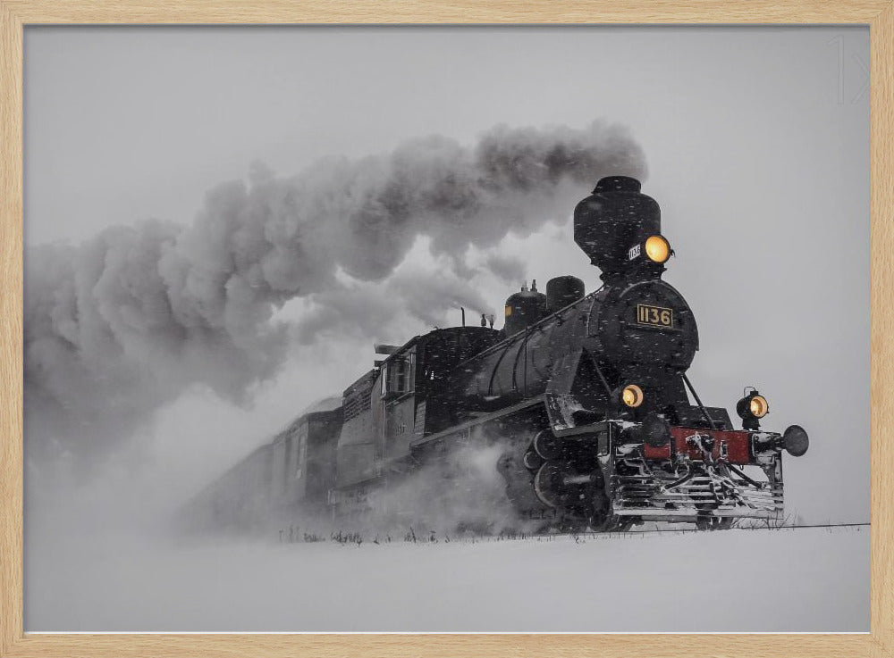 Little-Jumbo | Poster