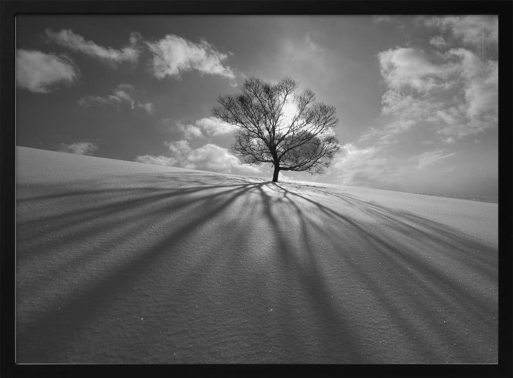 Tree Shadow | Poster