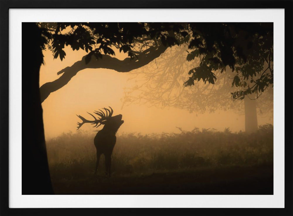 the love call | Poster