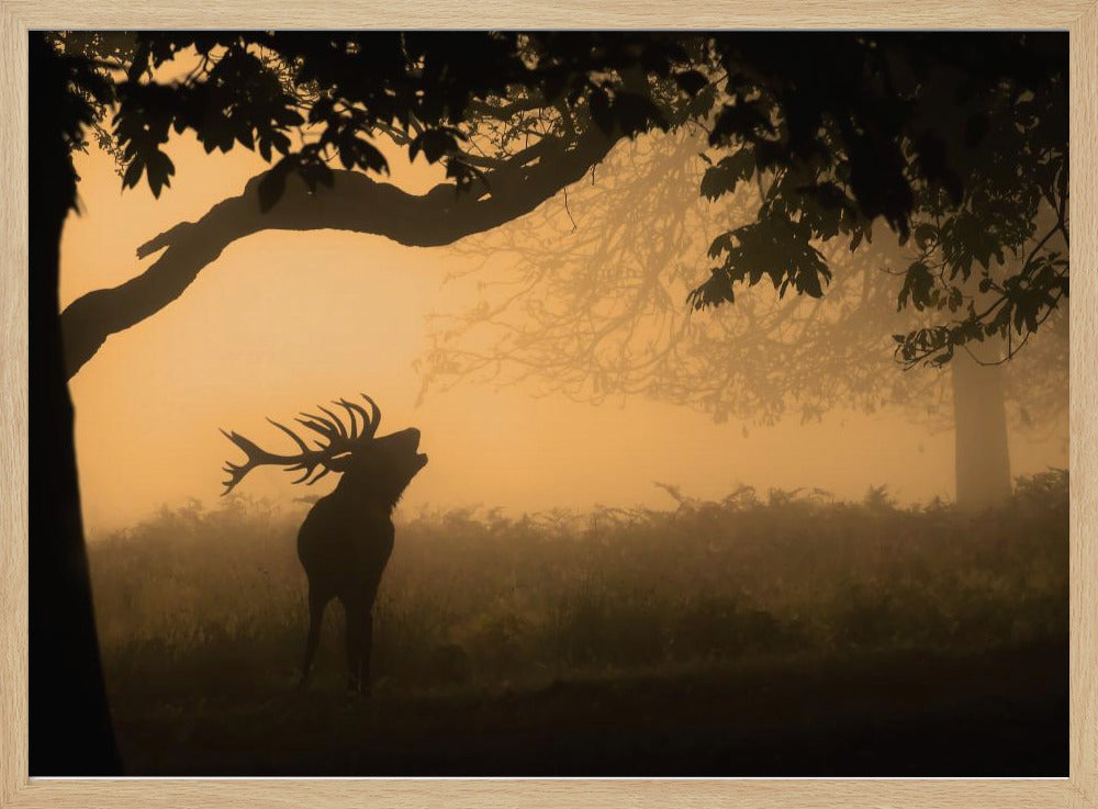 the love call | Poster