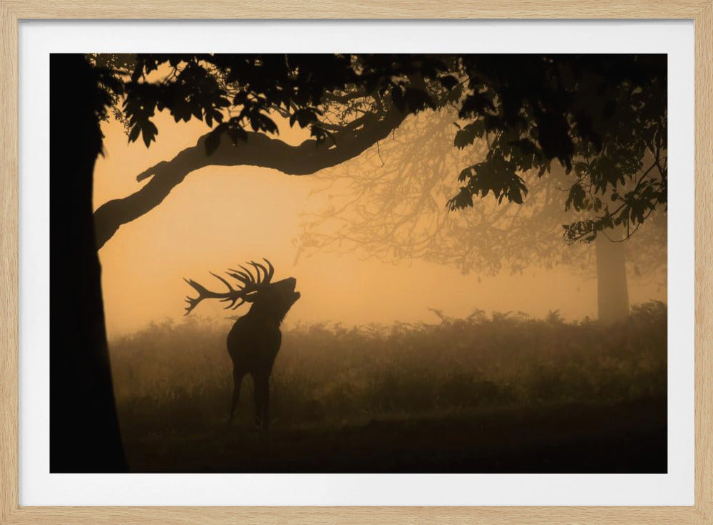 the love call | Poster