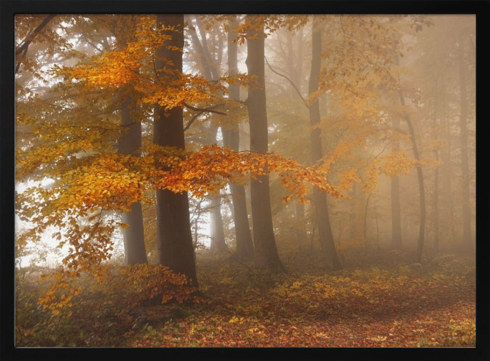 Edge of the woods | Poster