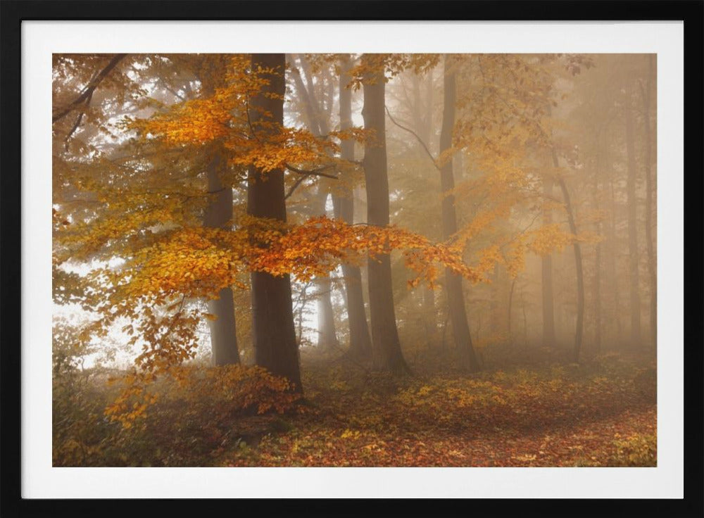 Edge of the woods | Poster