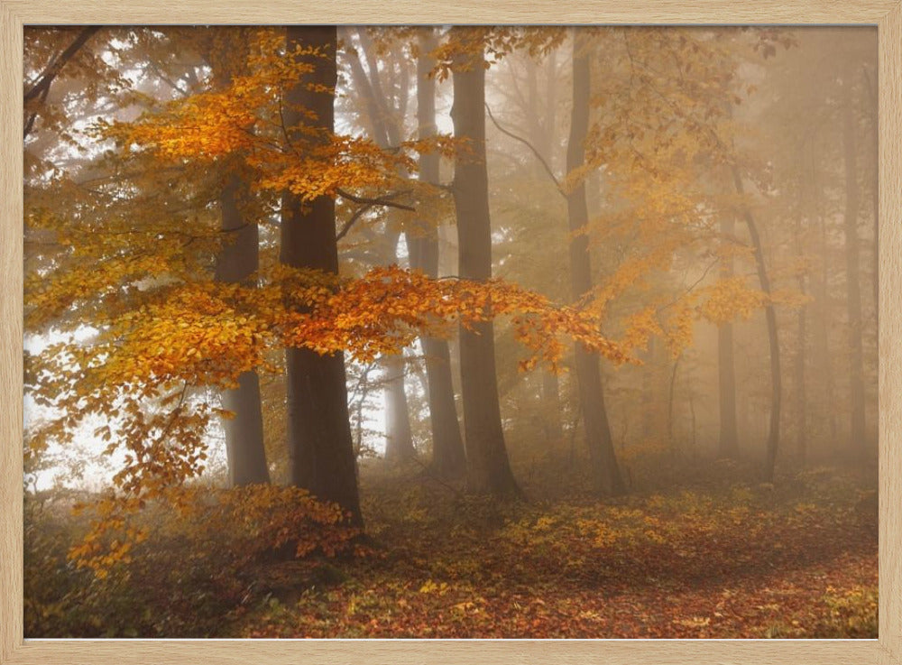 Edge of the woods | Poster