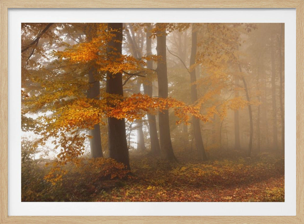 Edge of the woods | Poster