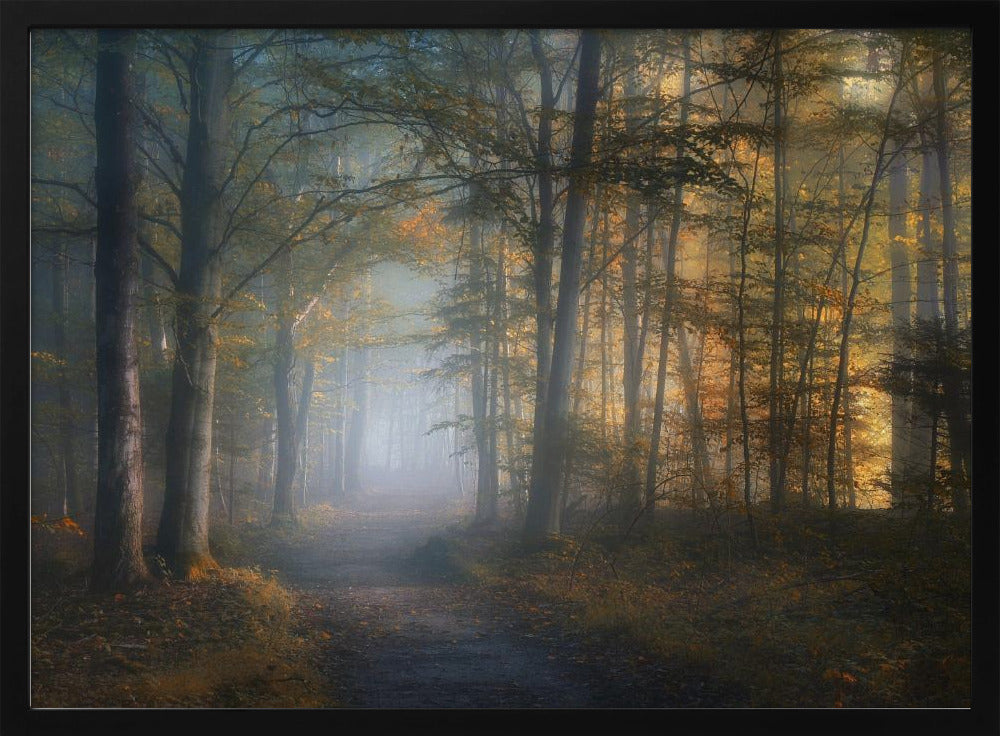 autumn symphony | Poster