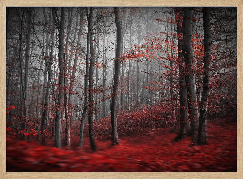 Bloody River | Poster