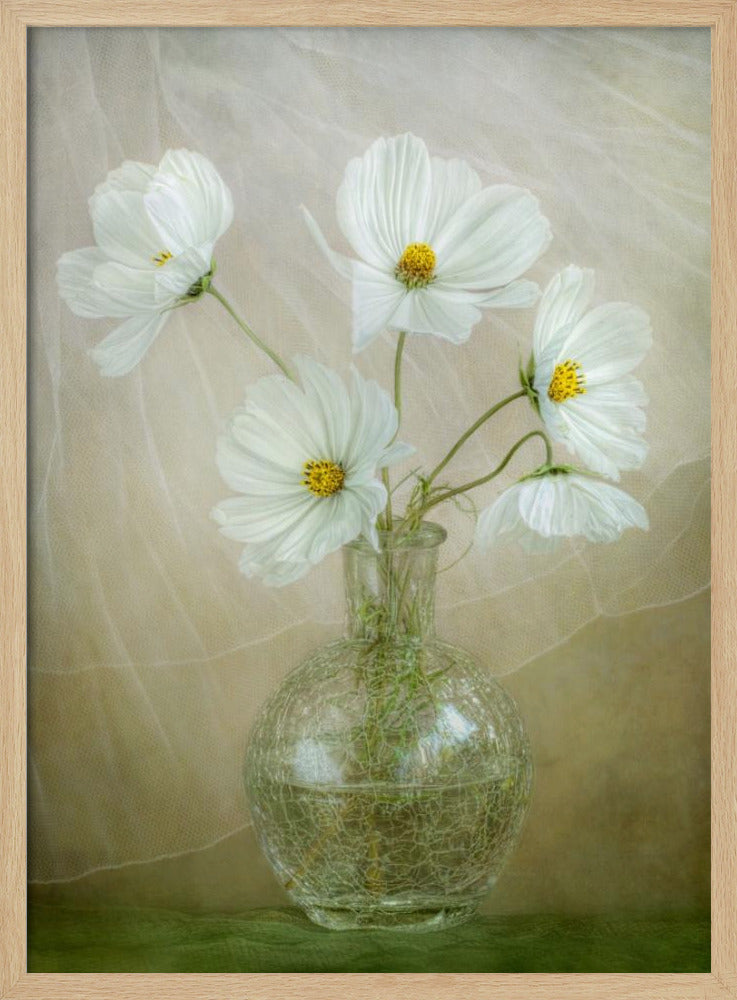 Cosmos breeze | Poster