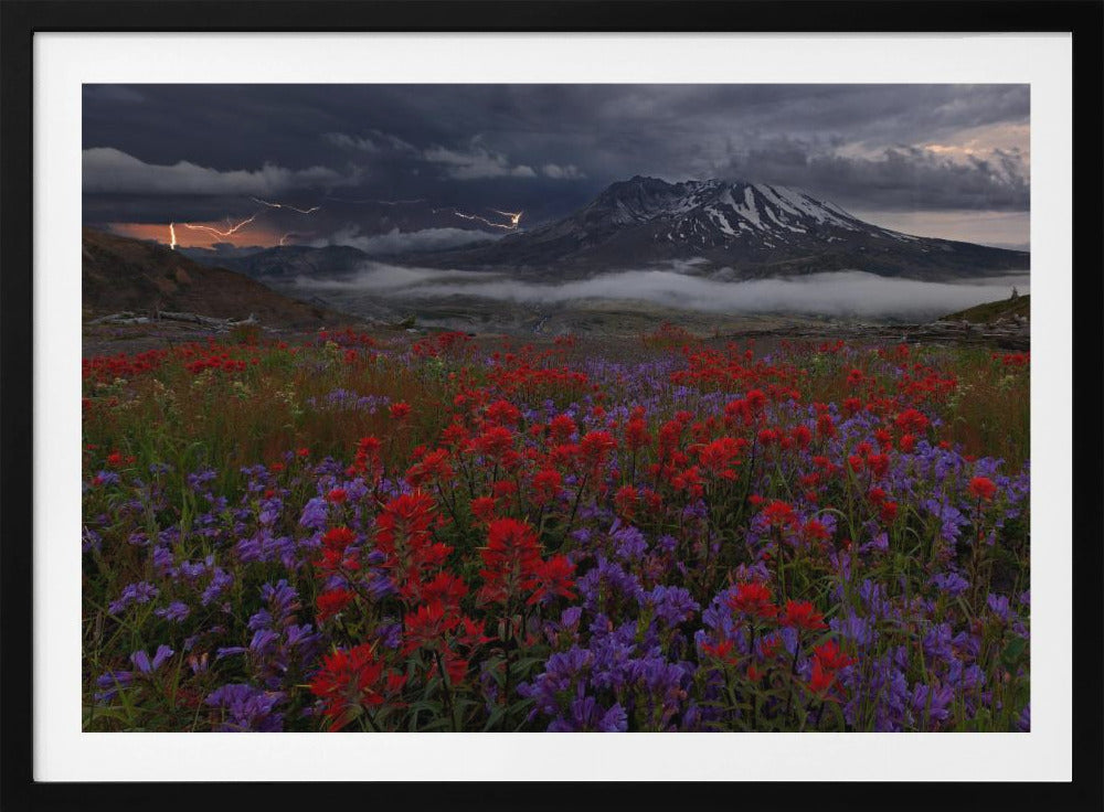 Apocalypse Now | Poster