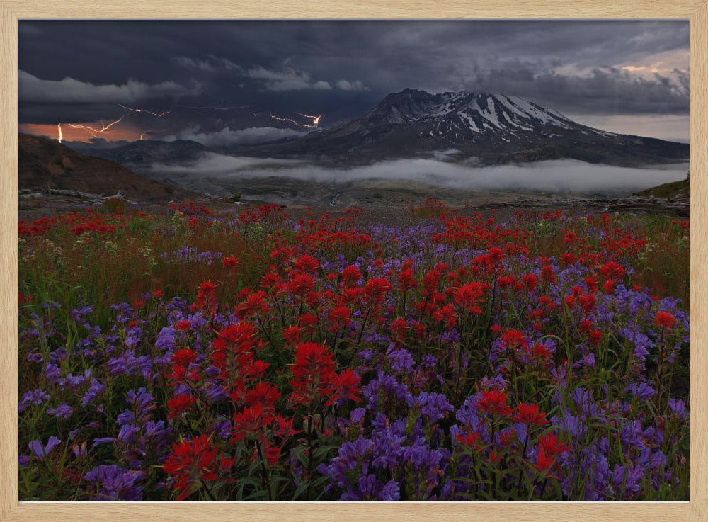 Apocalypse Now | Poster